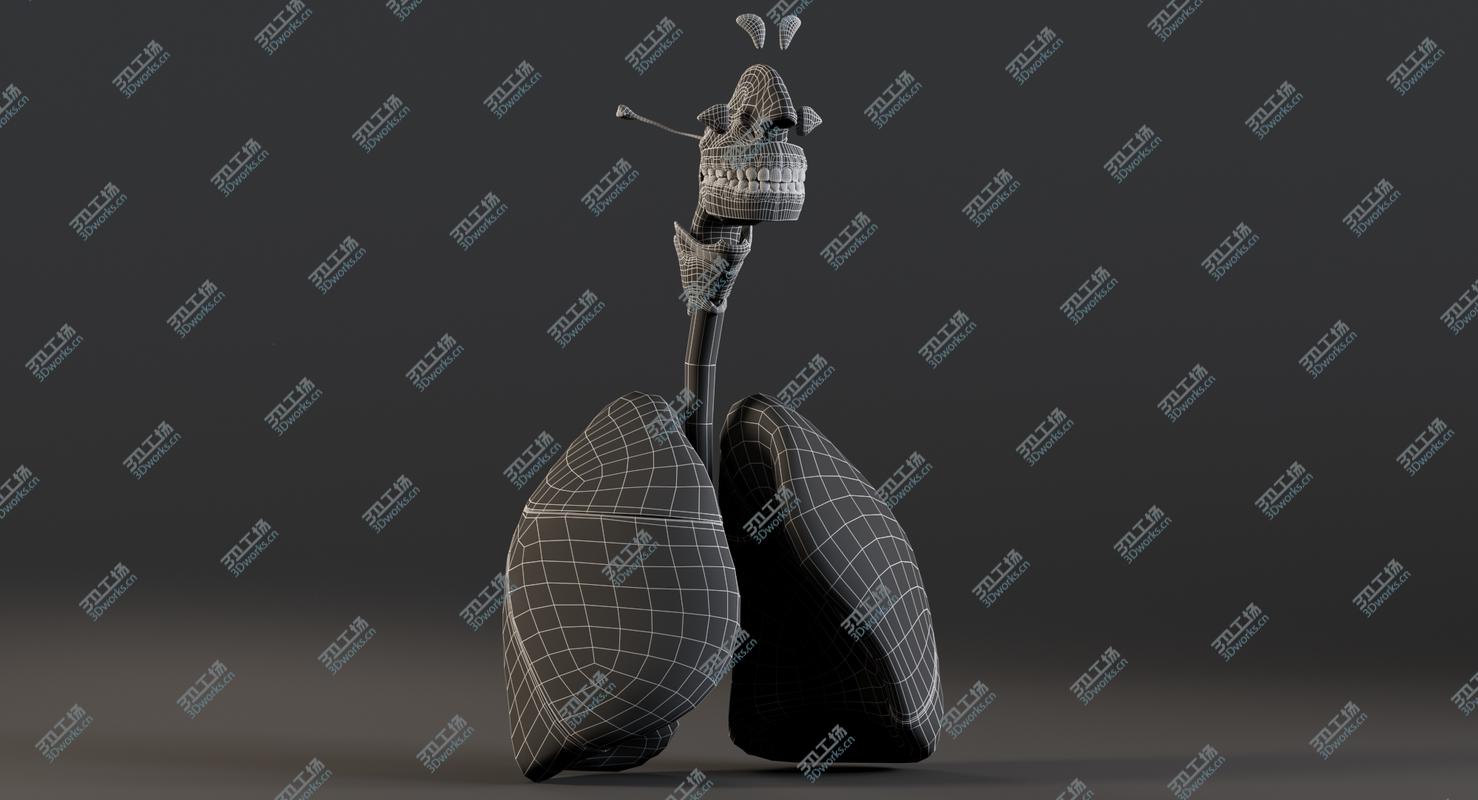 images/goods_img/2021040161/3D model Man Respiratory System/4.jpg